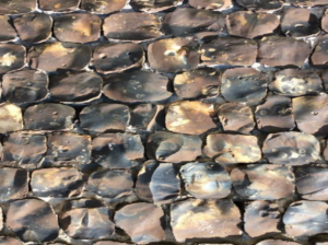 The Railway Station Brandon